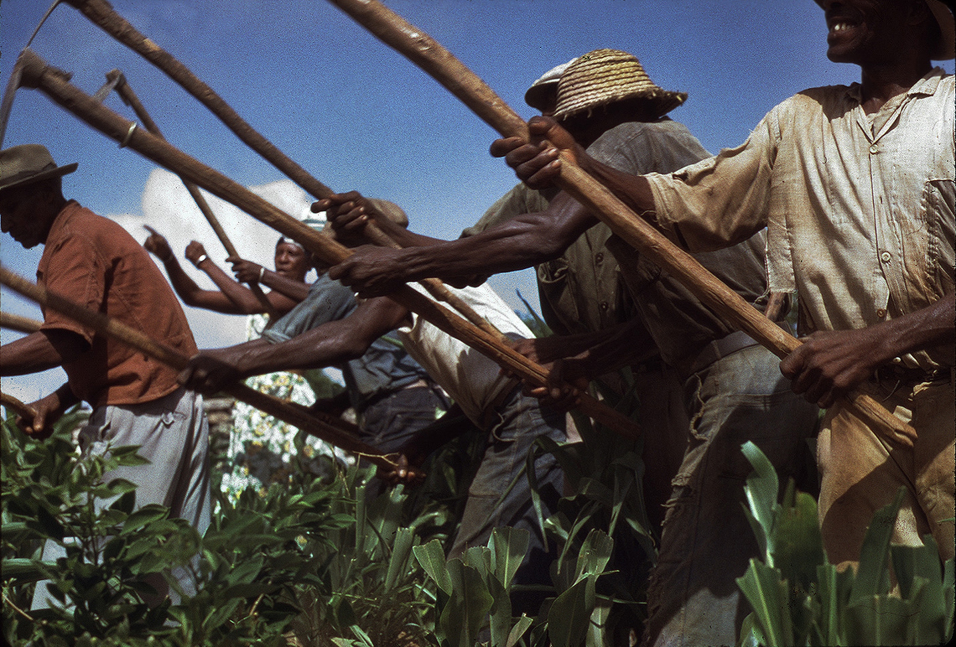 Lavoratori di Anguilla ai Caraibi ritratti da Alan Lomax nel 1962