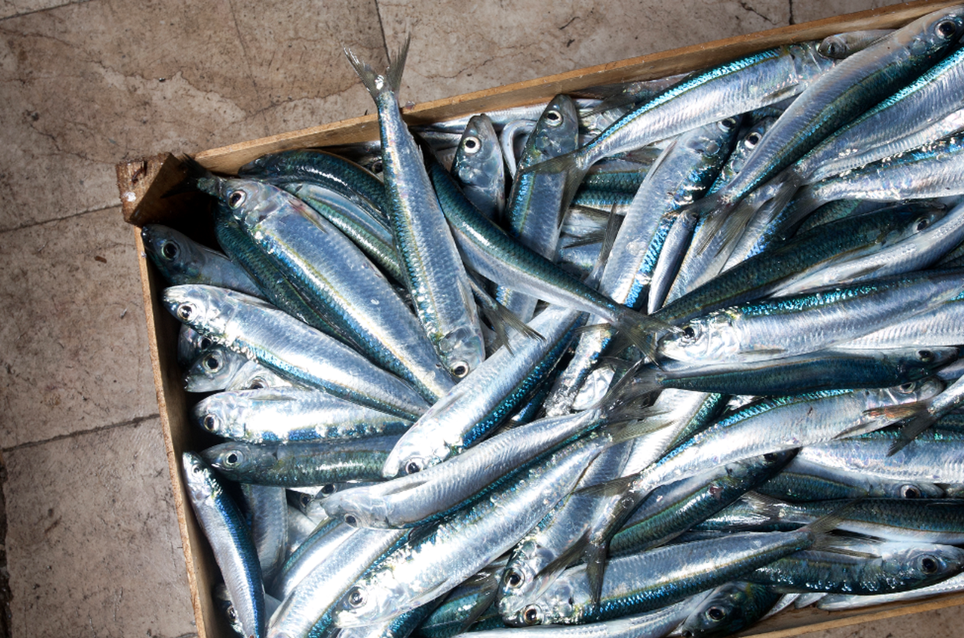 8 falsi miti a proposito del pesce che mangiamo - LifeGate