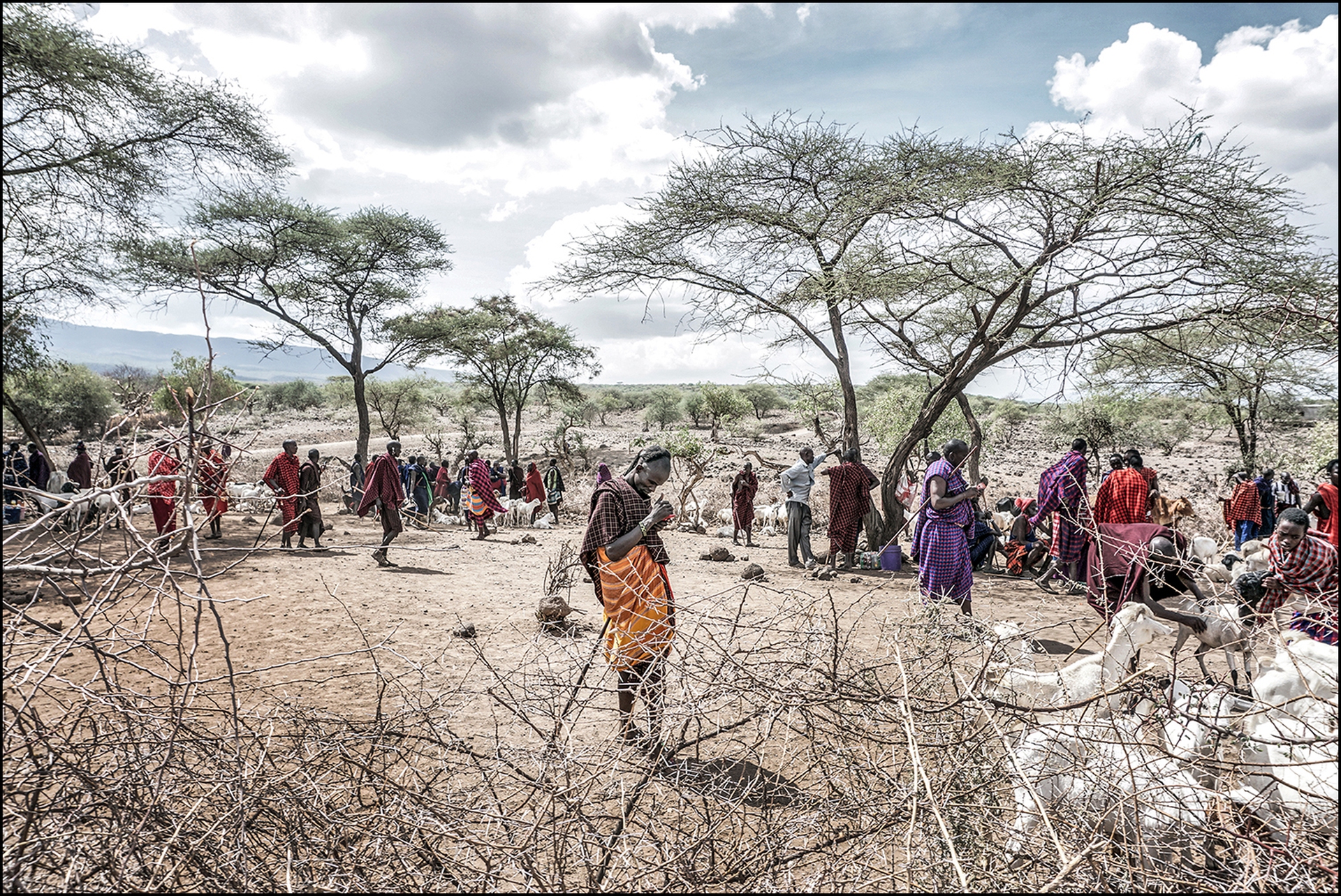 Calendario Amani 2019, ottobre