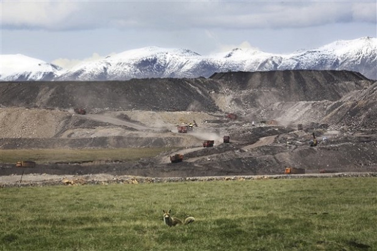 miniera, volpe in primo piano