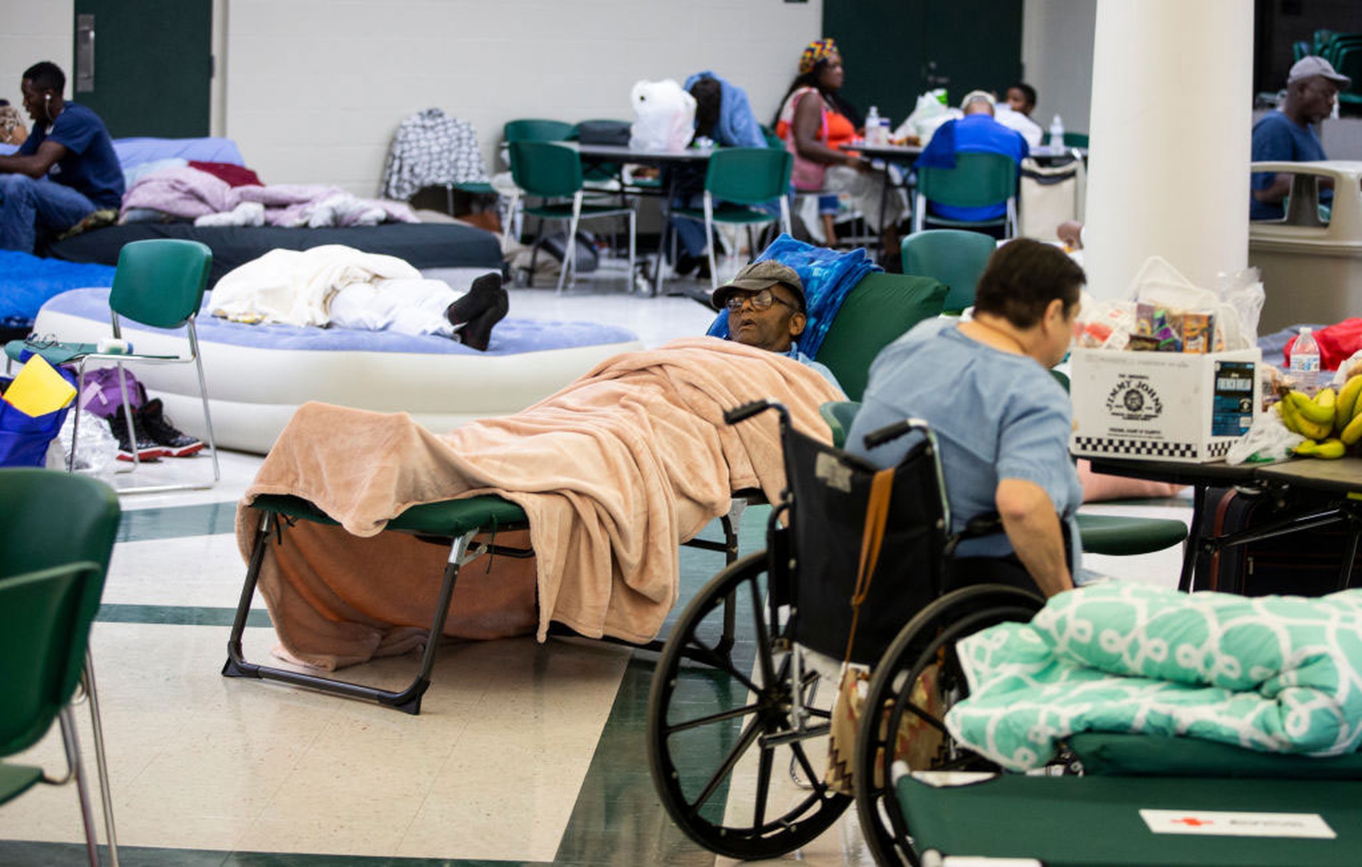 Rifugio a Tallahassee