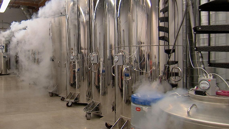 Le tre società attive nel campo hanno attualmente in stato di ibernazione 377 corpi, conservati a testa in giù in cilindri sottozero.