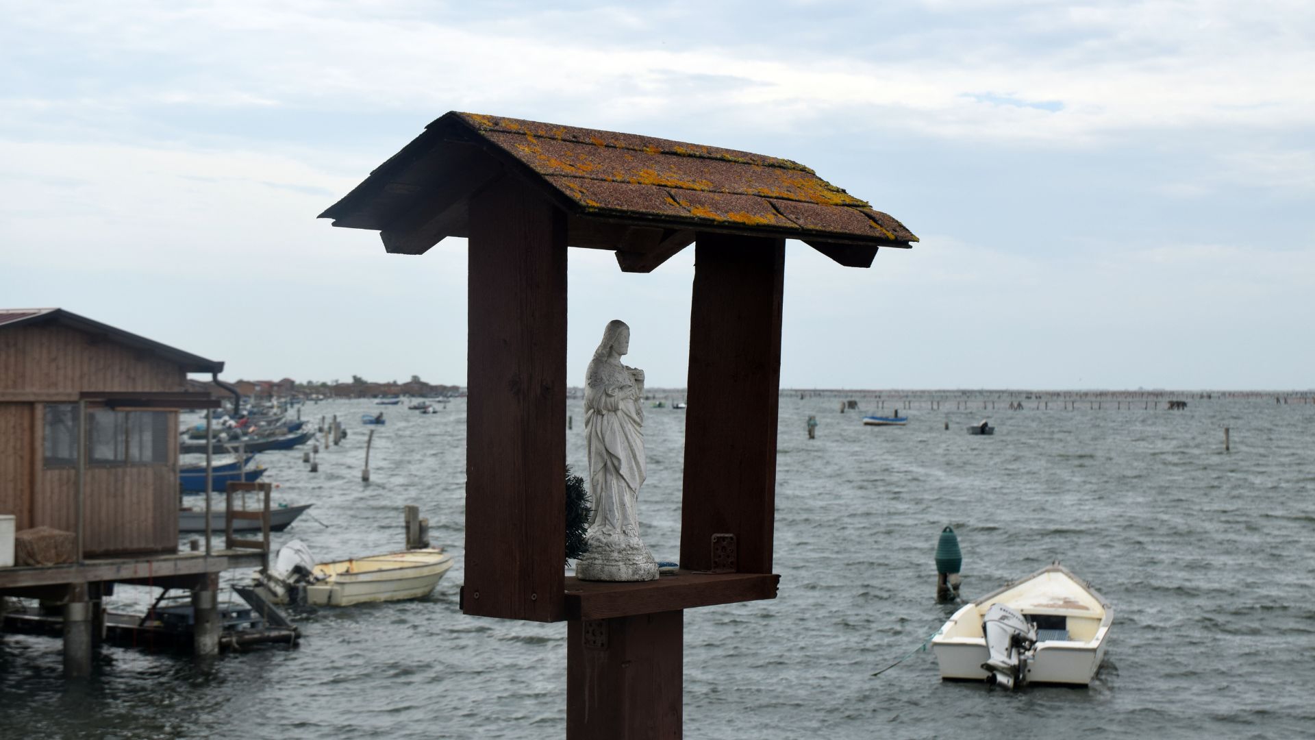 Sacca degli Scardovari