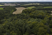 HS2, the high-speed railway will cost the UK many of its ancient woodlands