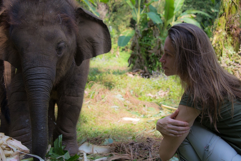 Anne de Carbuccia, One Planet One Future