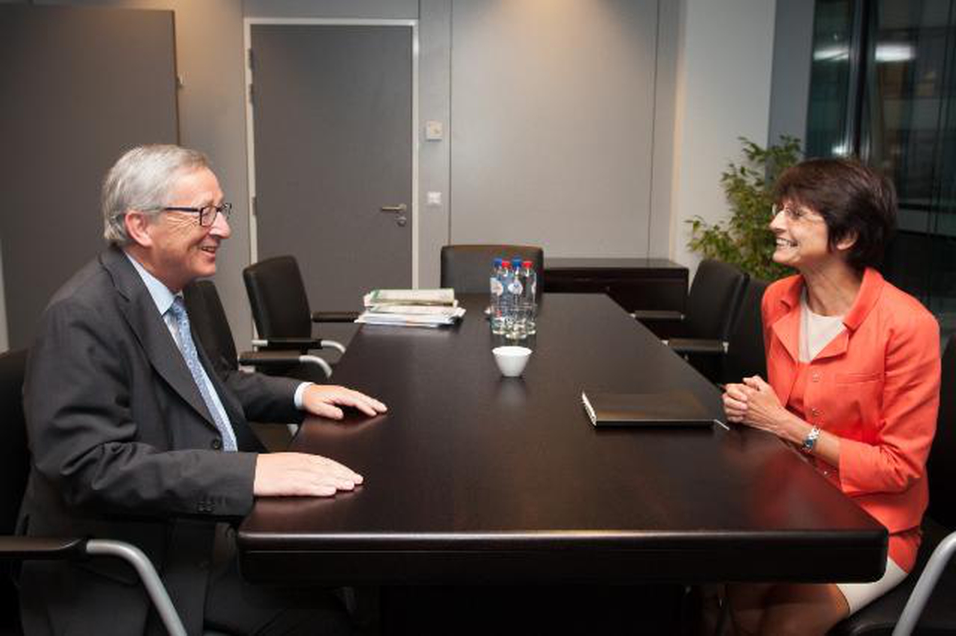 commissioner-candidates-marianne-thyssen