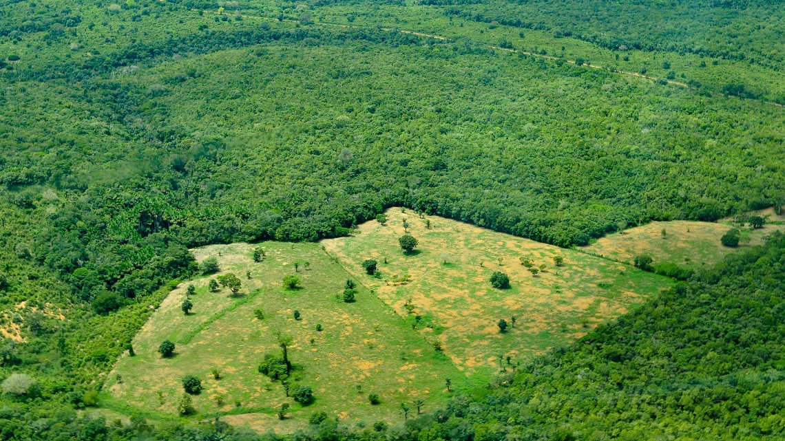 Brasile, un'area di foresta amazzonica grande quanto l'Italia non sarà ...