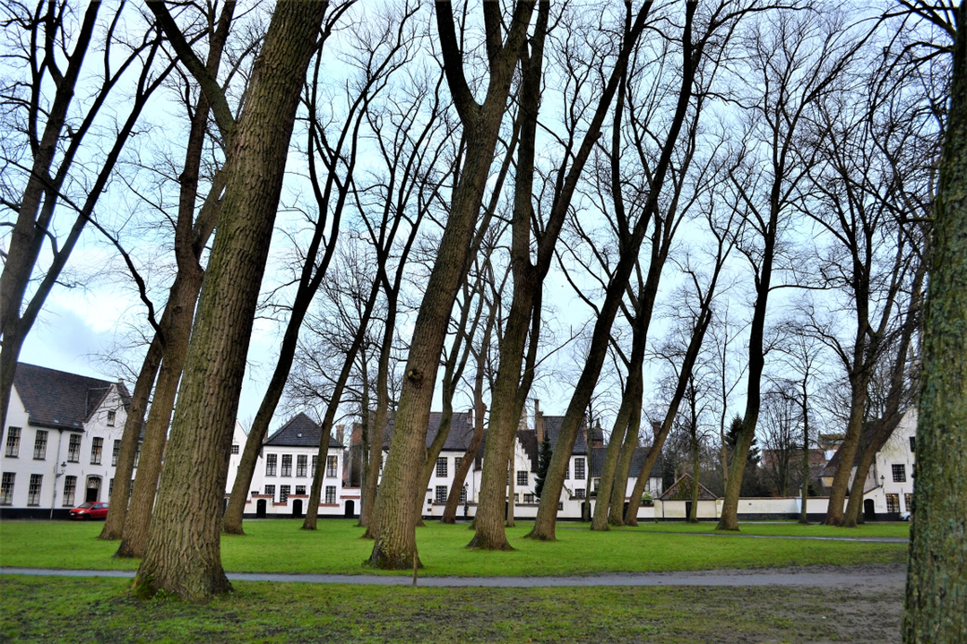 Il Beghinaggio è una sorta di quartiere chiuso di Bruges