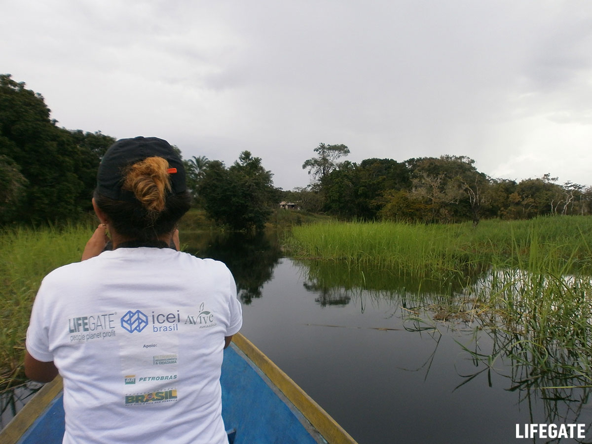 Foreste in piedi 2017