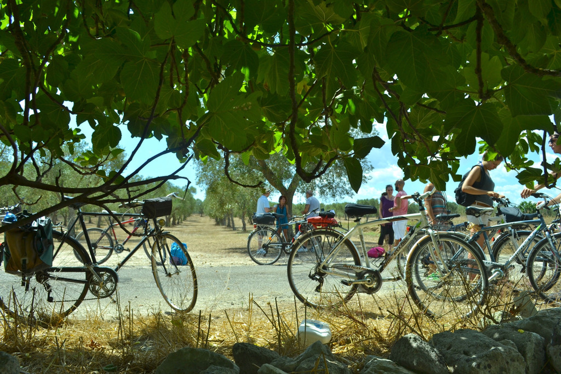 People during the NEw York City climate strike
