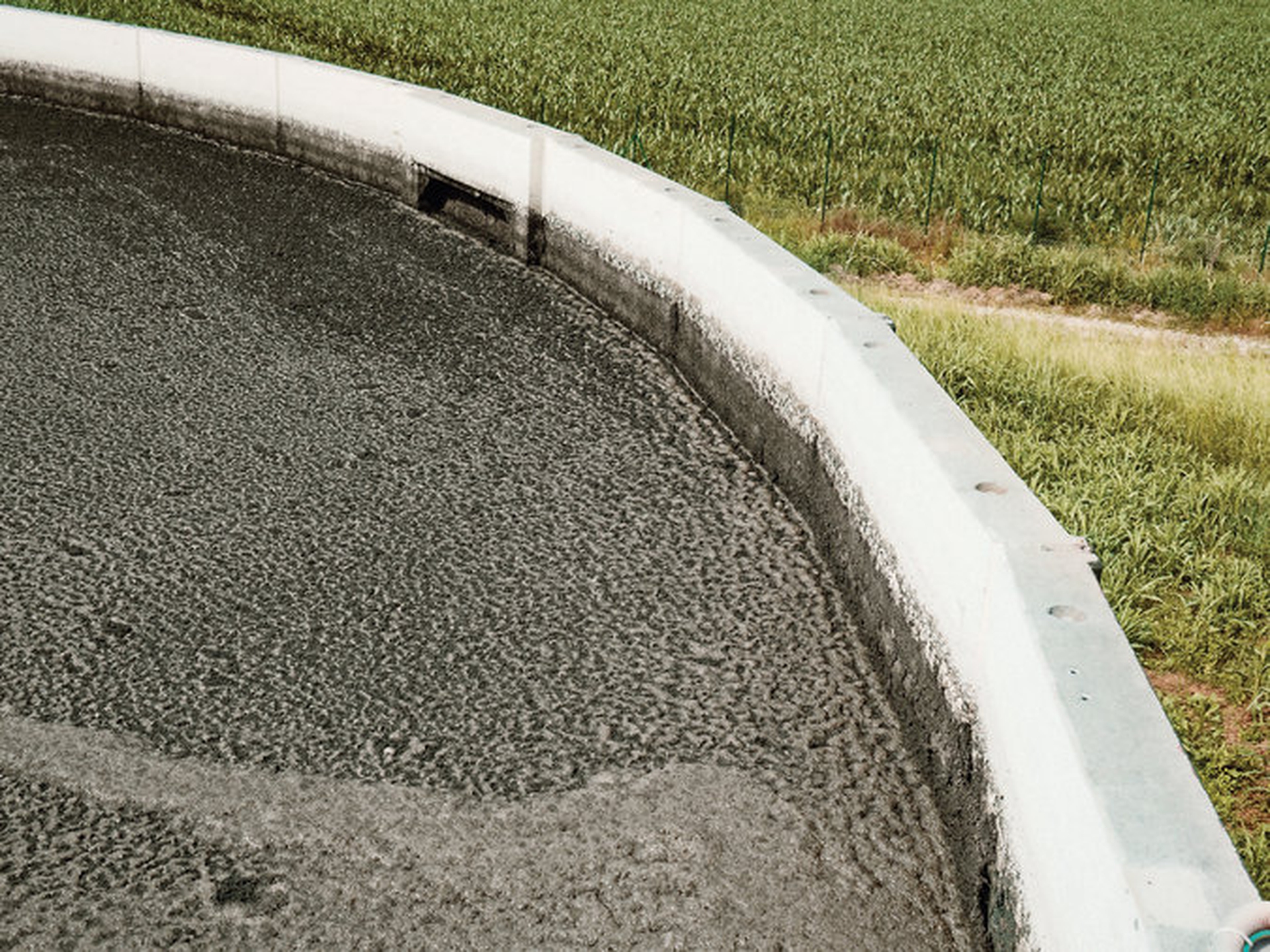 Il letame a Castelbosco