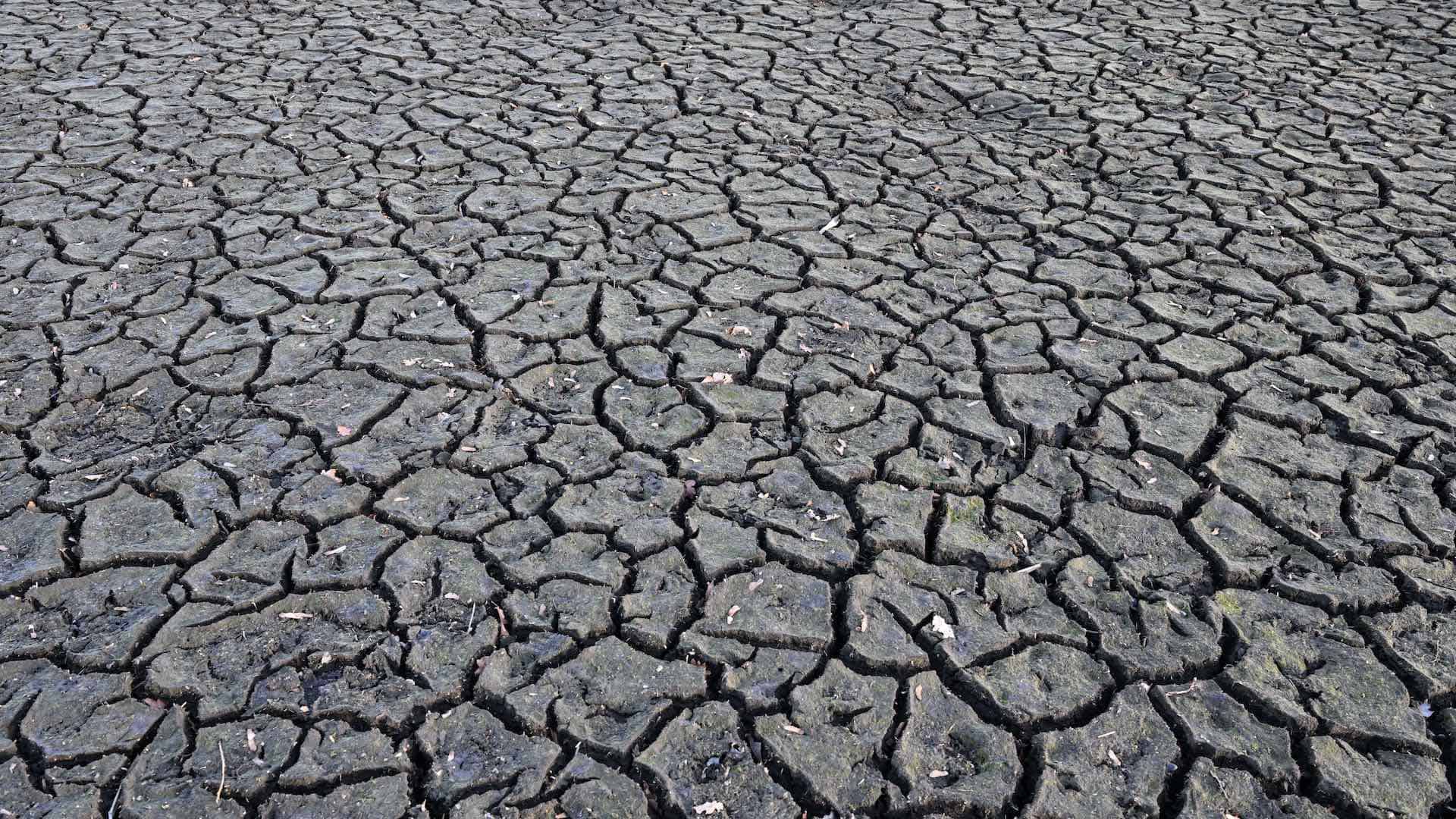 Hace un calor anómalo en España, antes, y 32 meses de sequía