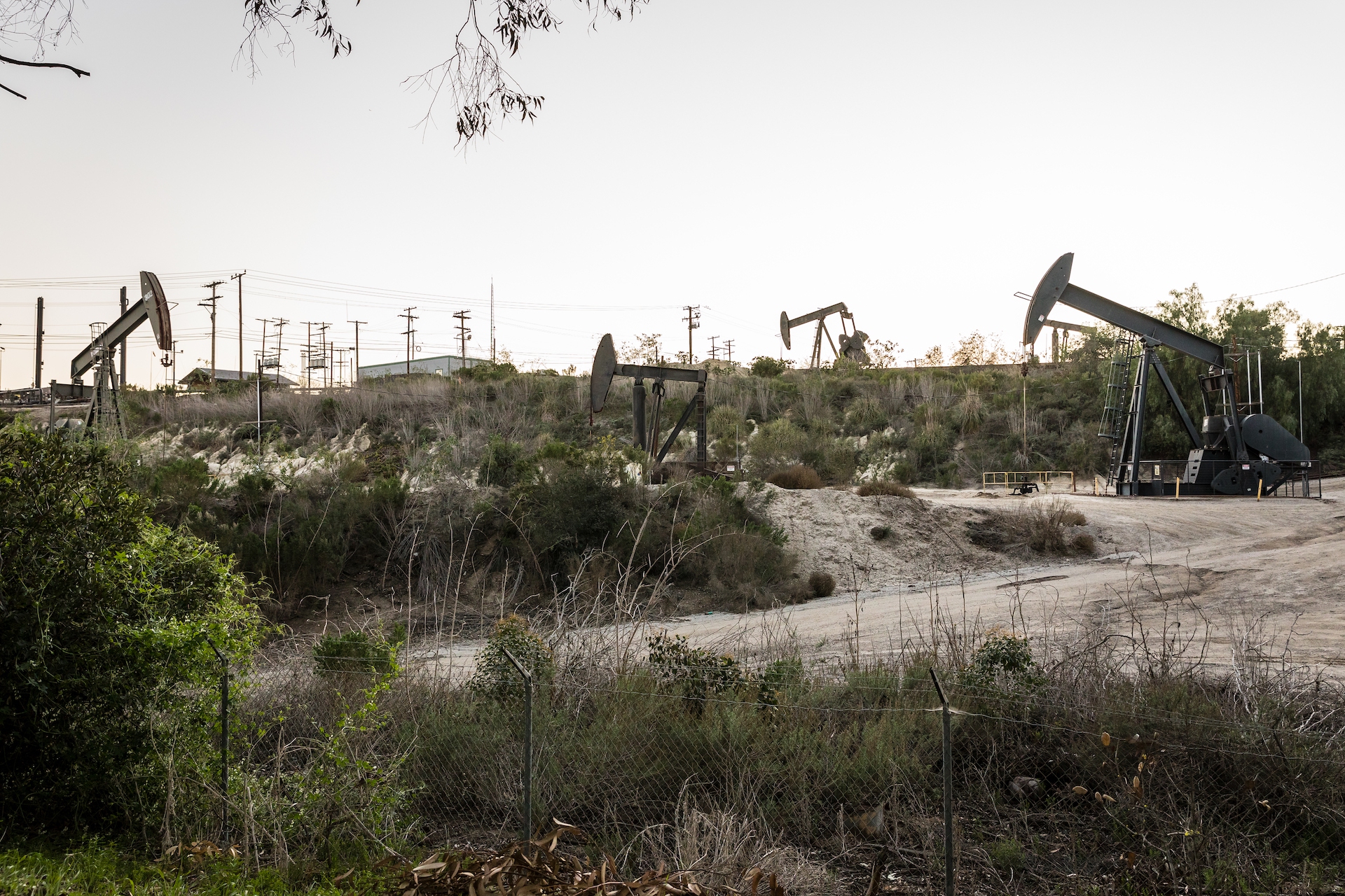 Nalleli-Cobo_Photo-Tamara-Leigh-Photography-36