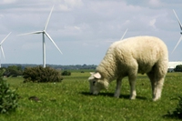 Lunga vita alle turbine d’Inghilterra