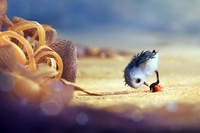 Piper, bellissimo corto Pixar, ci sprona a guardare le cose da un’altra prospettiva