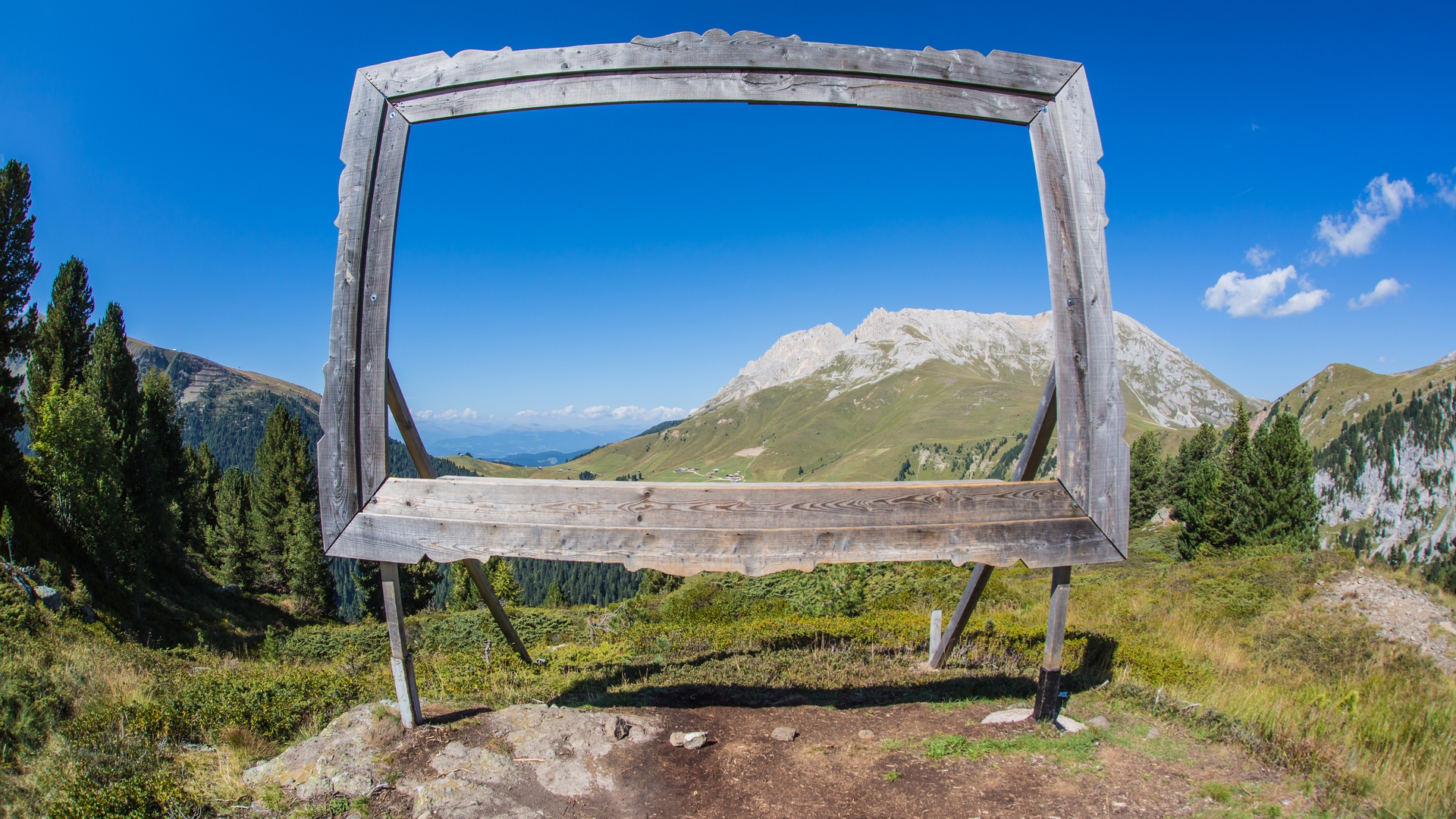 Natura viva, Mauro Lampo Olivotto © Tommaso Prugnola_Trentino Marketing