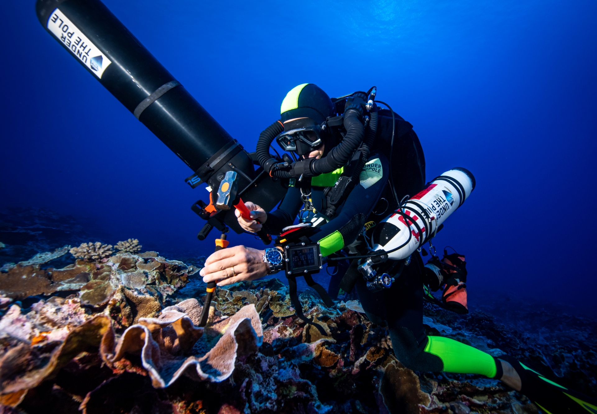 Deep Sea Polinesia Franck Gazzola