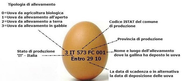 Come leggere l'etichetta delle uova