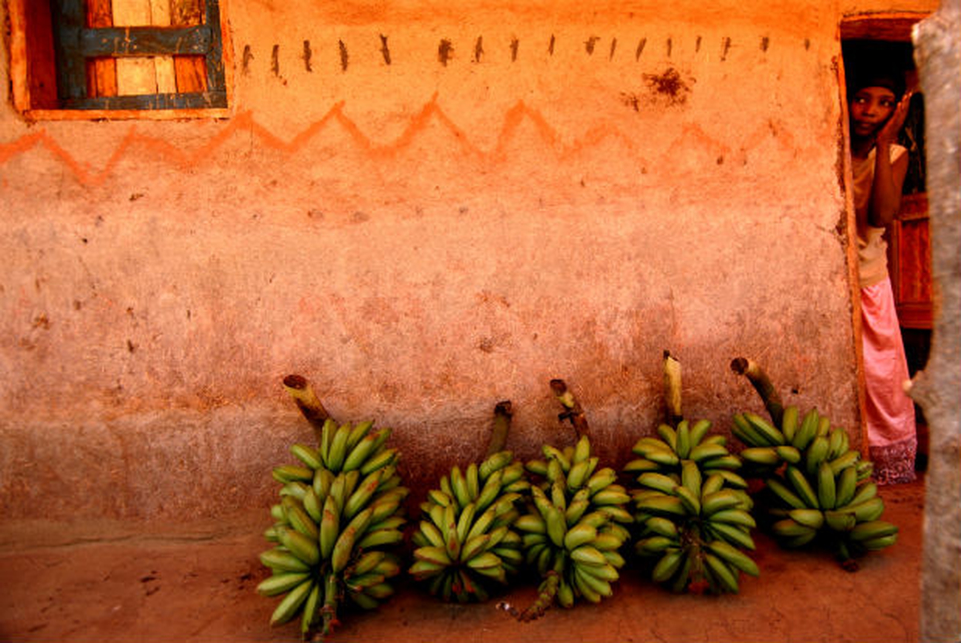 Slow Food for Africa. 10.000 orti per coltivare il futuro