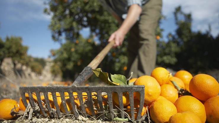 Sinnai, anche un trattore per i piccoli agricoltori speciali del paese
