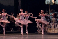 Il balletto classico arriva negli Uci cinemas. Il 28 febbraio è stato il turno della bella addormentata