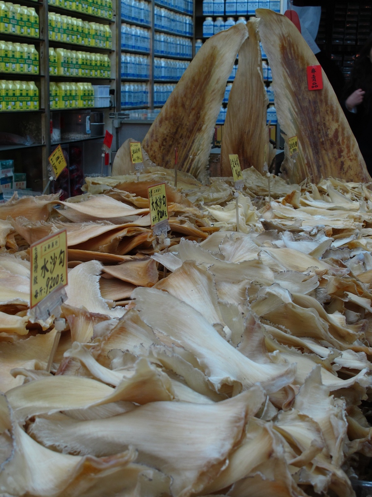 Pinne di squalo in vendita in Asia