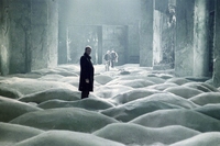 Stalker di Andrej Tarkovskij (1979)
