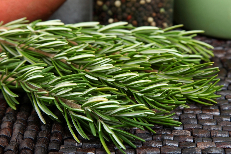 rosemary
