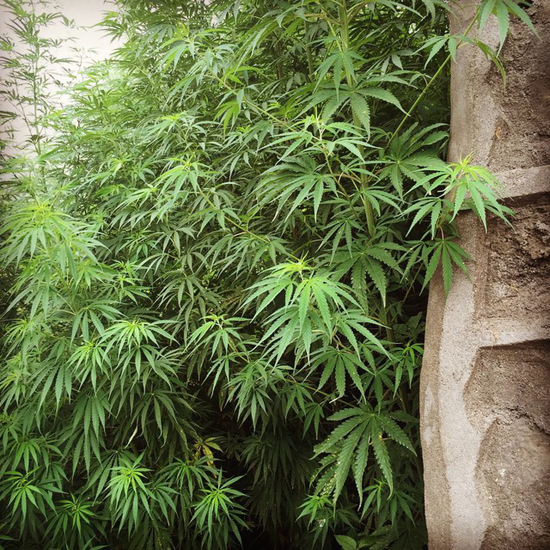 1022206260347695160_2733355_2