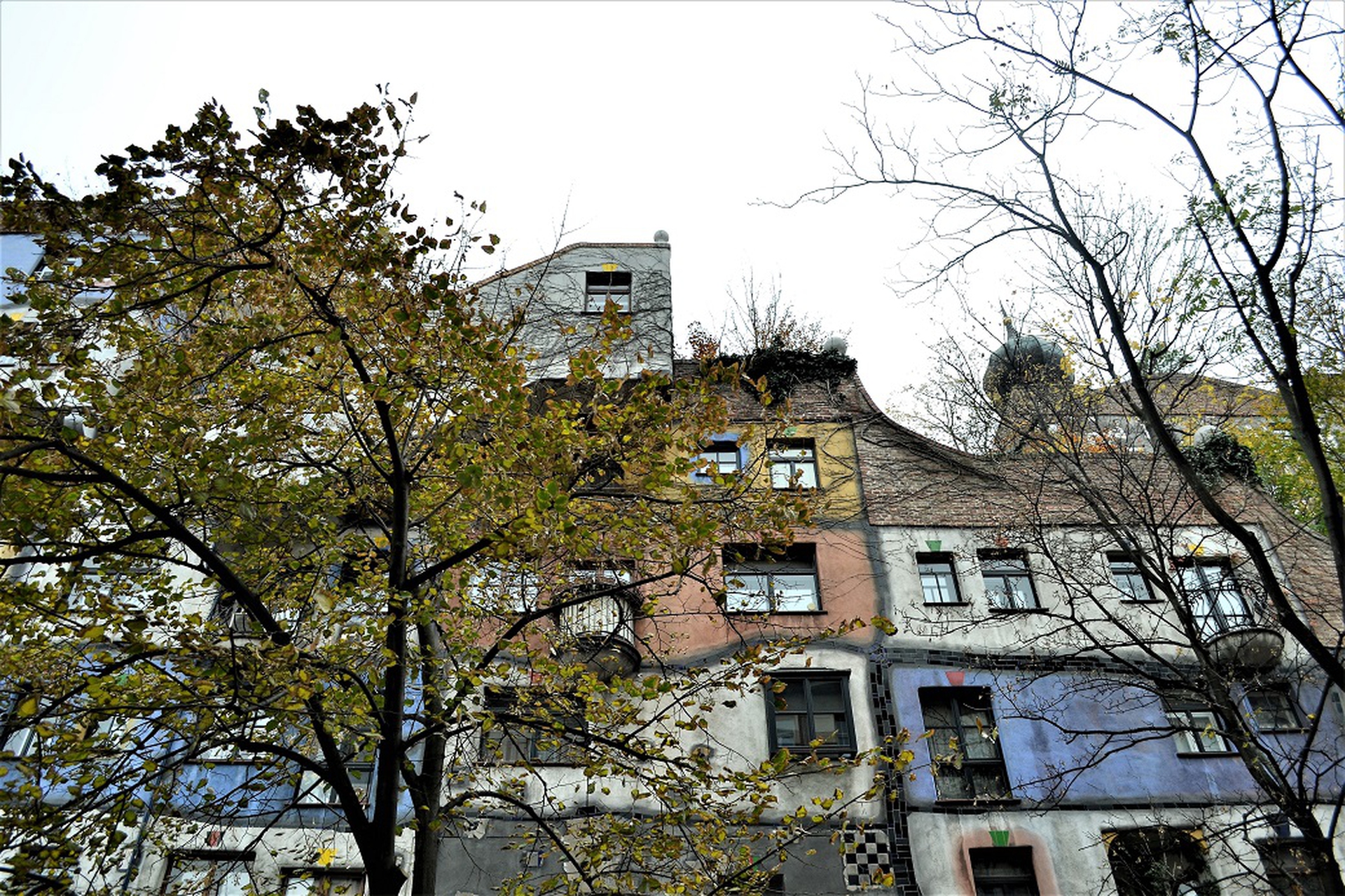 Le case popolari a Vienna: Hundertwasserhaus