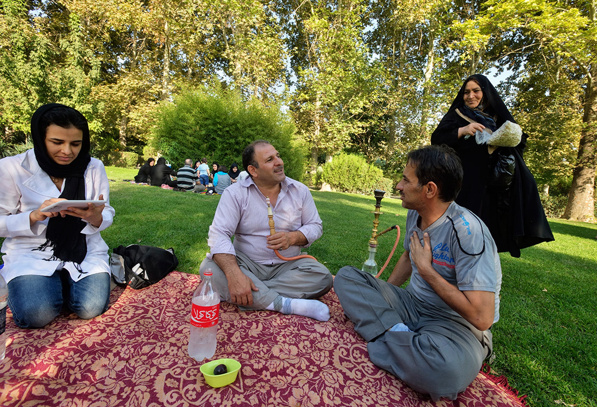 Picnic a Tehran
