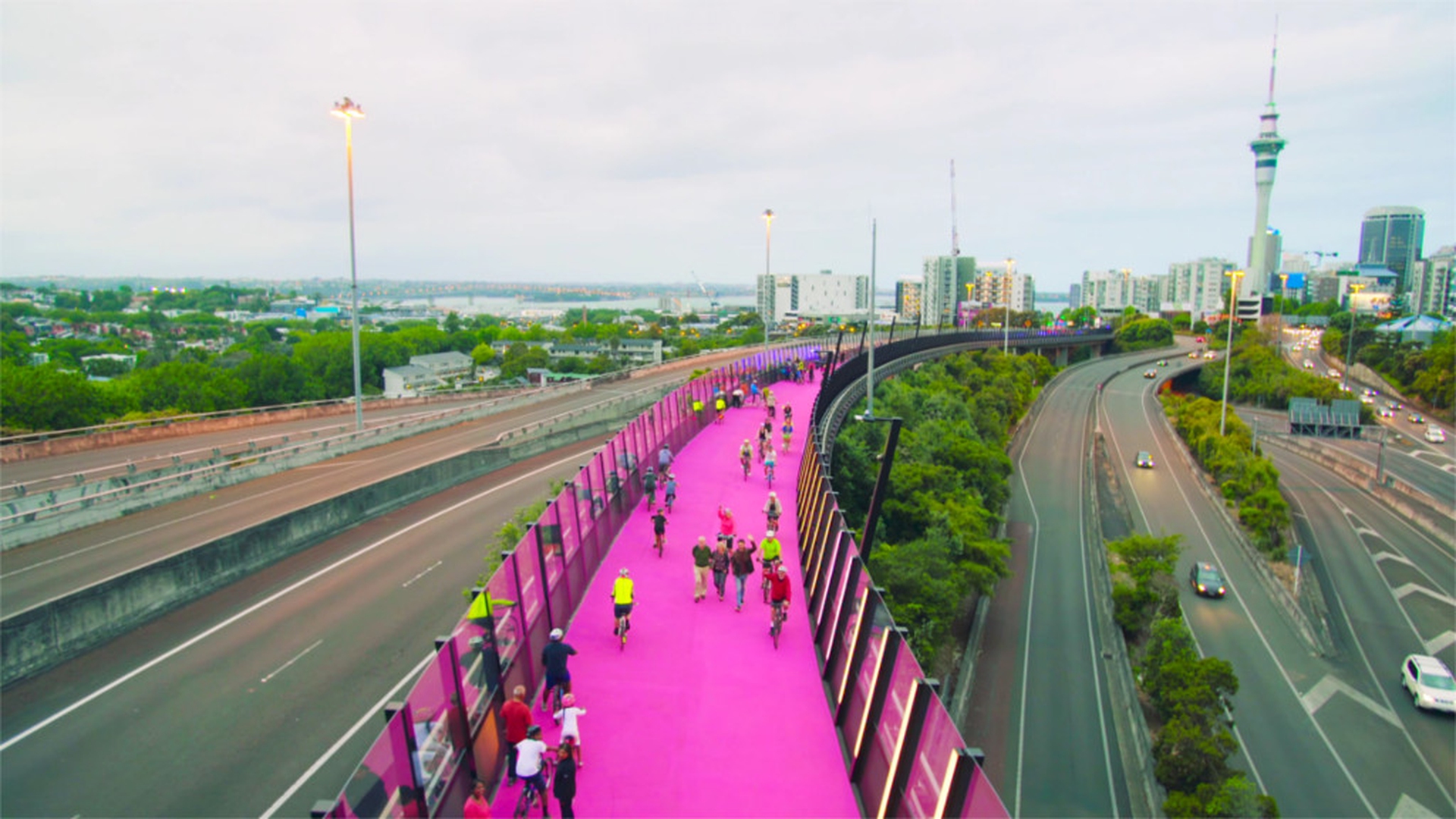 Pink cycling lane: the opening