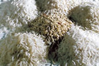 Riso basmati di Dehradun