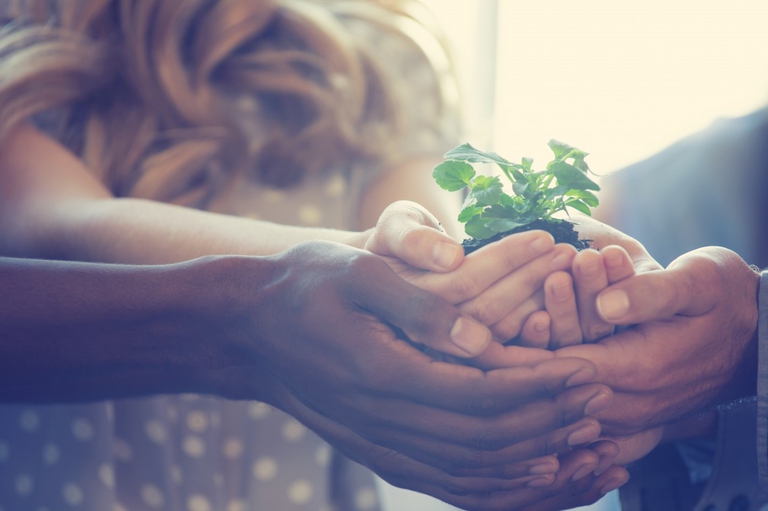 sostenibilità imprese