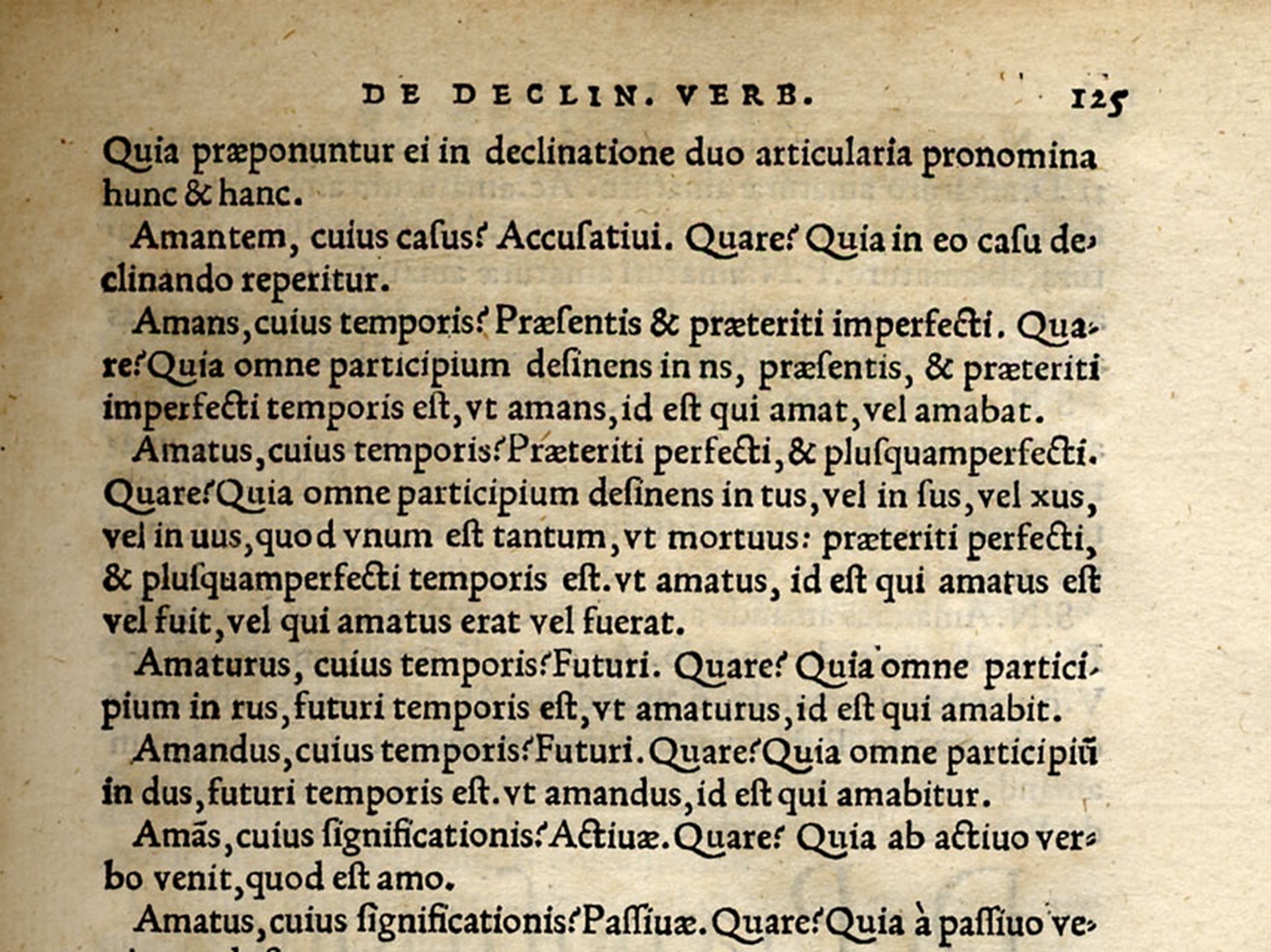 Aldo Manuzio e le edizioni aldine