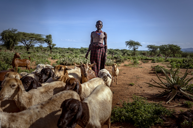 lower omo valley, ethiopia, tribes, reportage, pastoralism