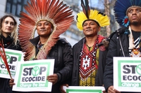 Il Parlamento europeo vuole introdurre il reato di ecocidio