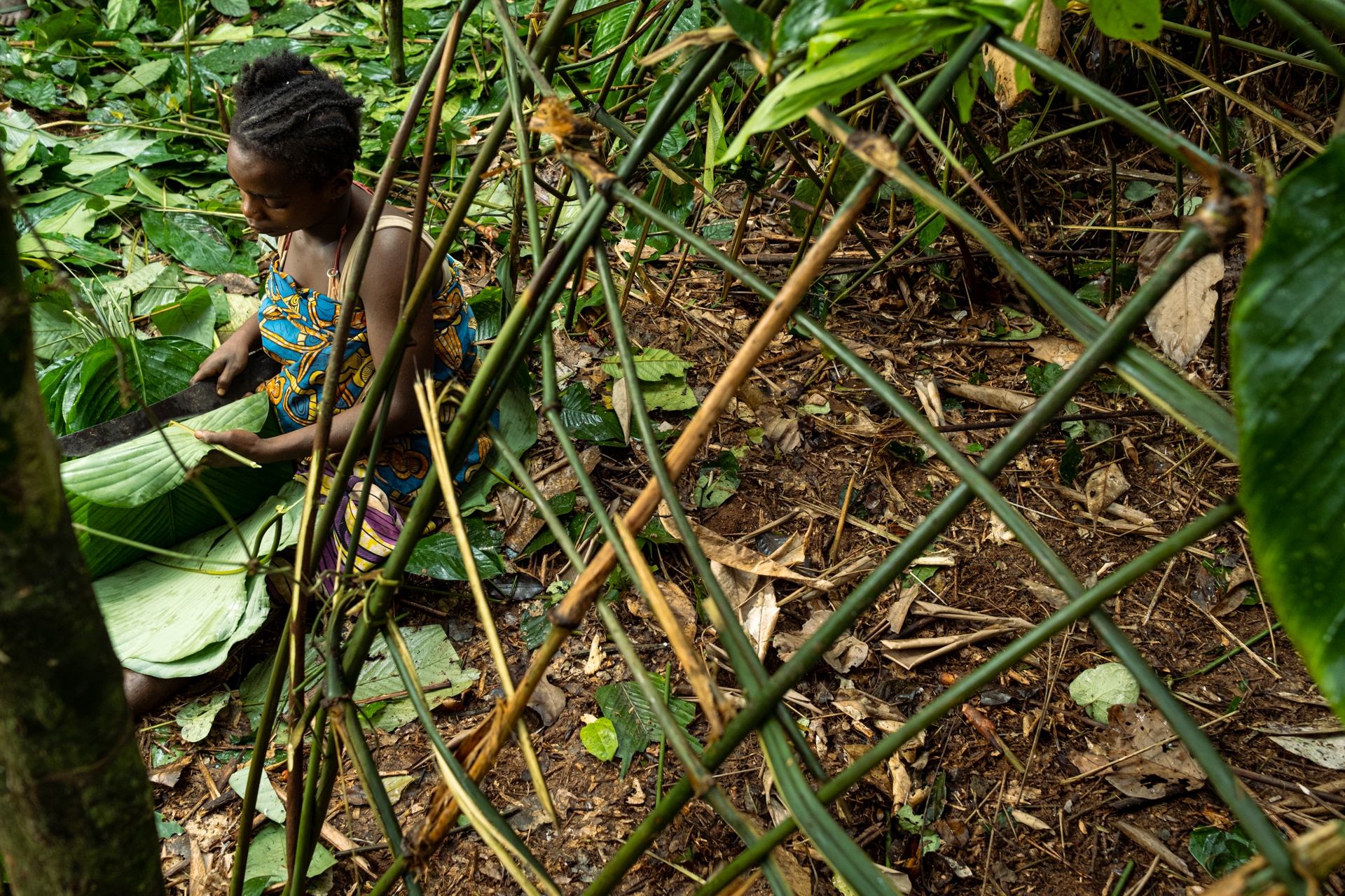 Foto Pigmei Congo-undici