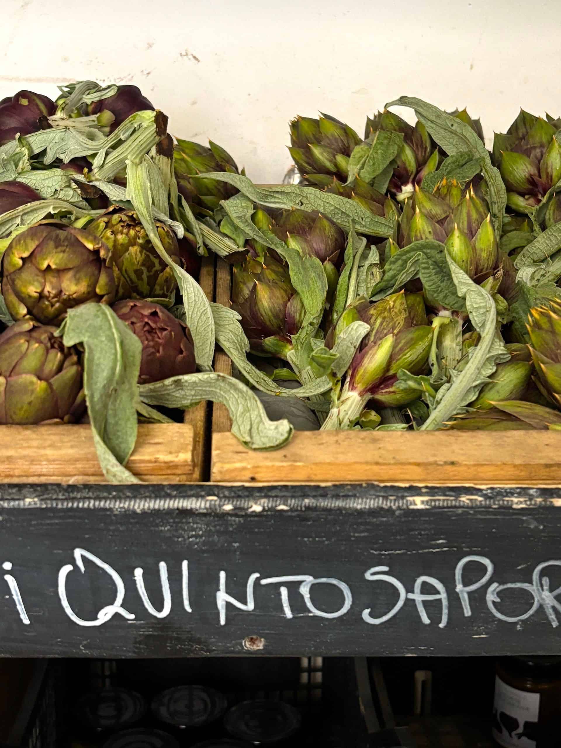 IMG_4411 di Beatrice Spagoni