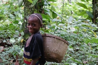 Congo, sospesi finanziamenti europei a un progetto Wwf per maltrattamenti ai nativi
