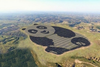 China is home to the first panda-shaped solar farm
