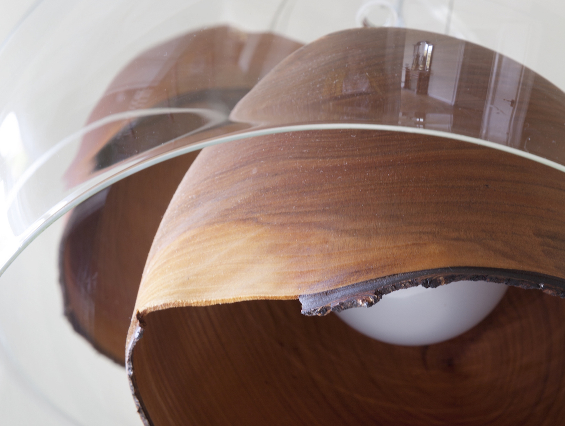 Slow wood, tutte le qualità del legno per progettare sostenibile