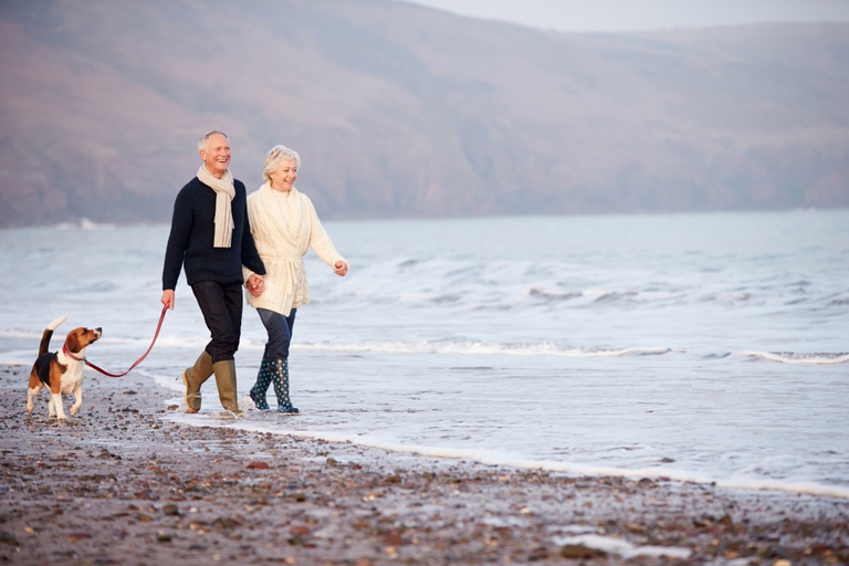 Senior Couple Walking Along Winter Beach With Pet Dog