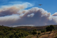 Quali sono i paesi europei più a rischio incendi