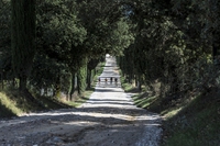 L’Eroica, la storica corsa di biciclette nelle più belle strade del Chianti