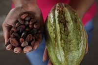 Quali sono i vantaggi del biologico e del Fairtrade per produttori e consumatori