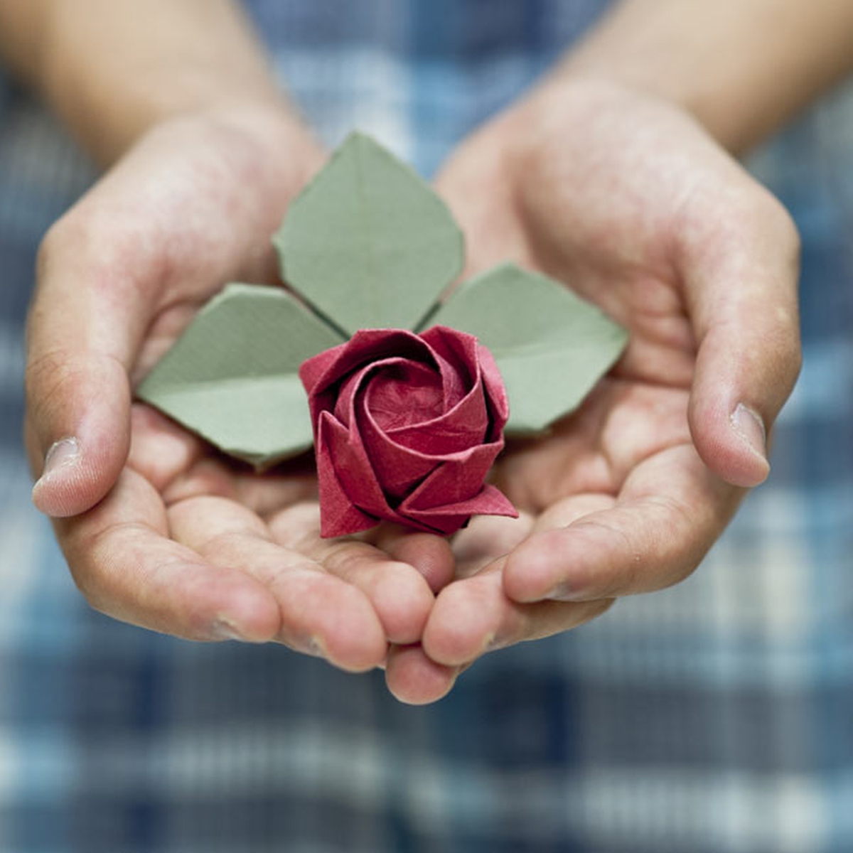 Intervista A Sachiko Mizoguchi Maestra Di Origami Lifegate