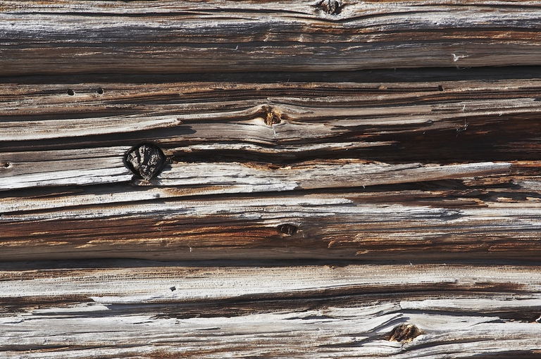 legno elementi