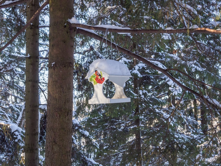 Mangiatoia artigianale per uccelli in un bosco innevato