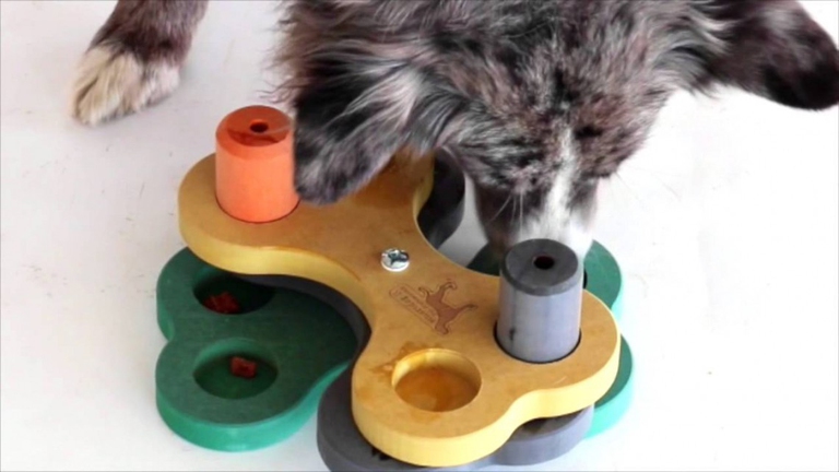 come alleviare stress cani in quarantena